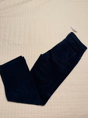 NWT Ann Taylor High Rise Corduroy Pants